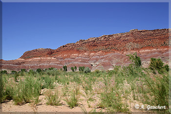 Die farbenprächtigen Red Hills